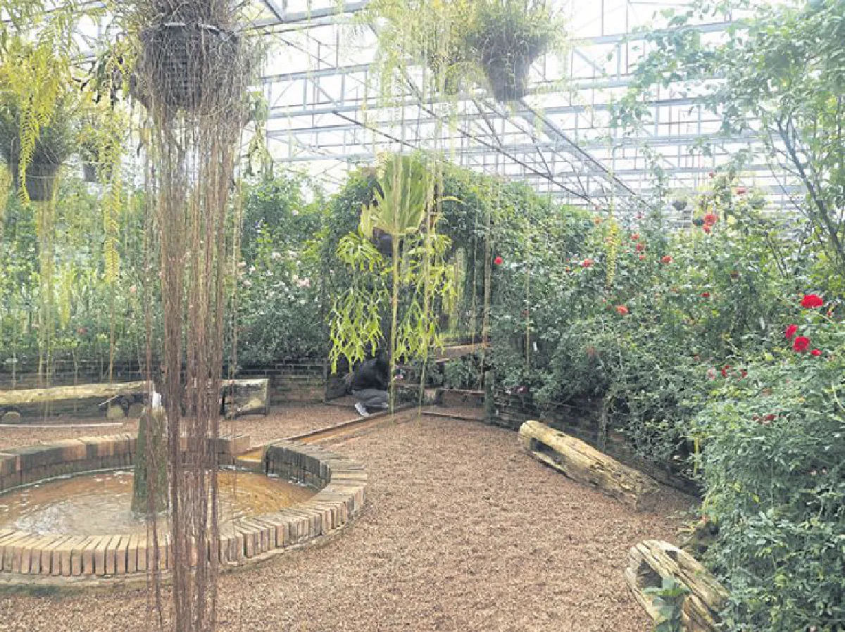 รื่นรมย์ตามรอยบุญ จิบชาชมกุหลาบ ไหว้พระวัดป่าดาราภิรมย์