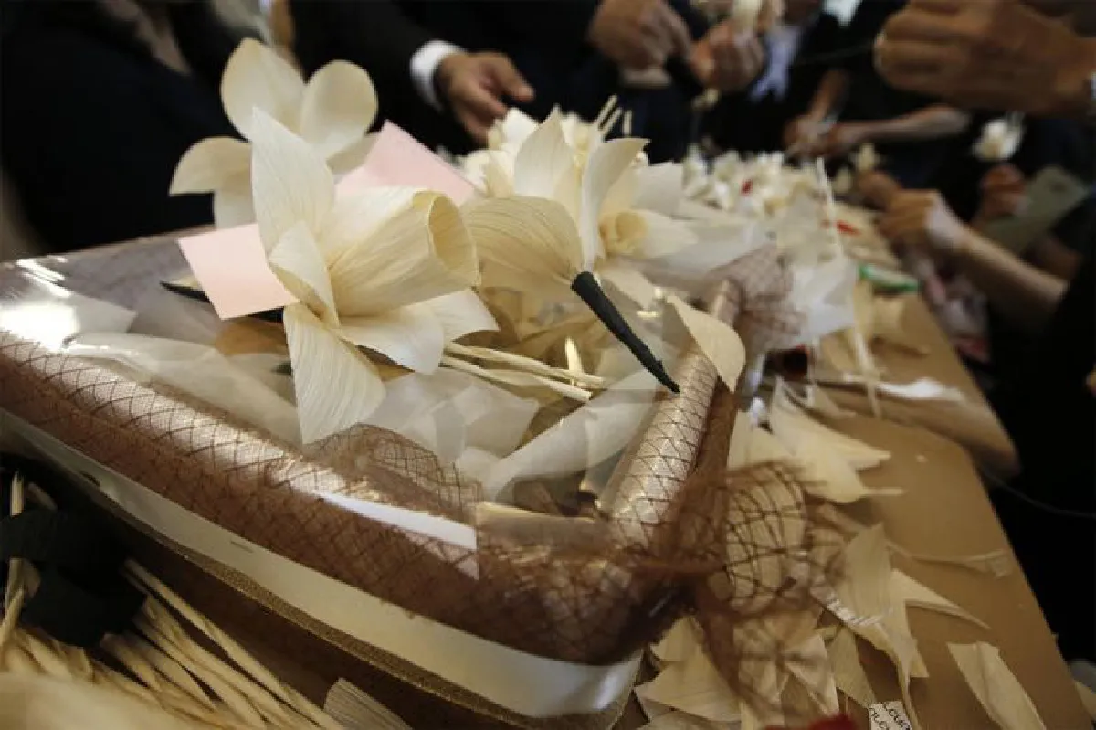 วิชาชีวิต และความตาย