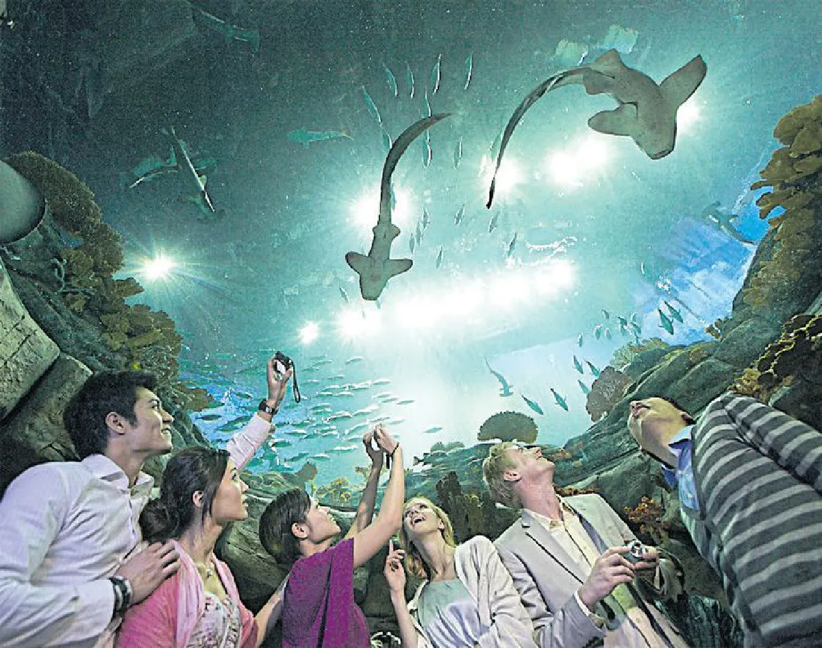 เสียงหัวเราะและความสนุก เกิดได้ที่ ‘โอเชียนปาร์ก ฮ่องกง’