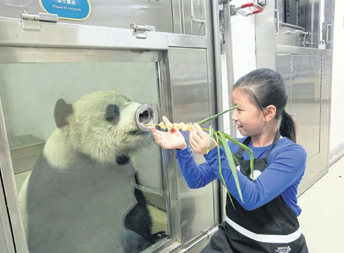 เสียงหัวเราะและความสนุก เกิดได้ที่ ‘โอเชียนปาร์ก ฮ่องกง’