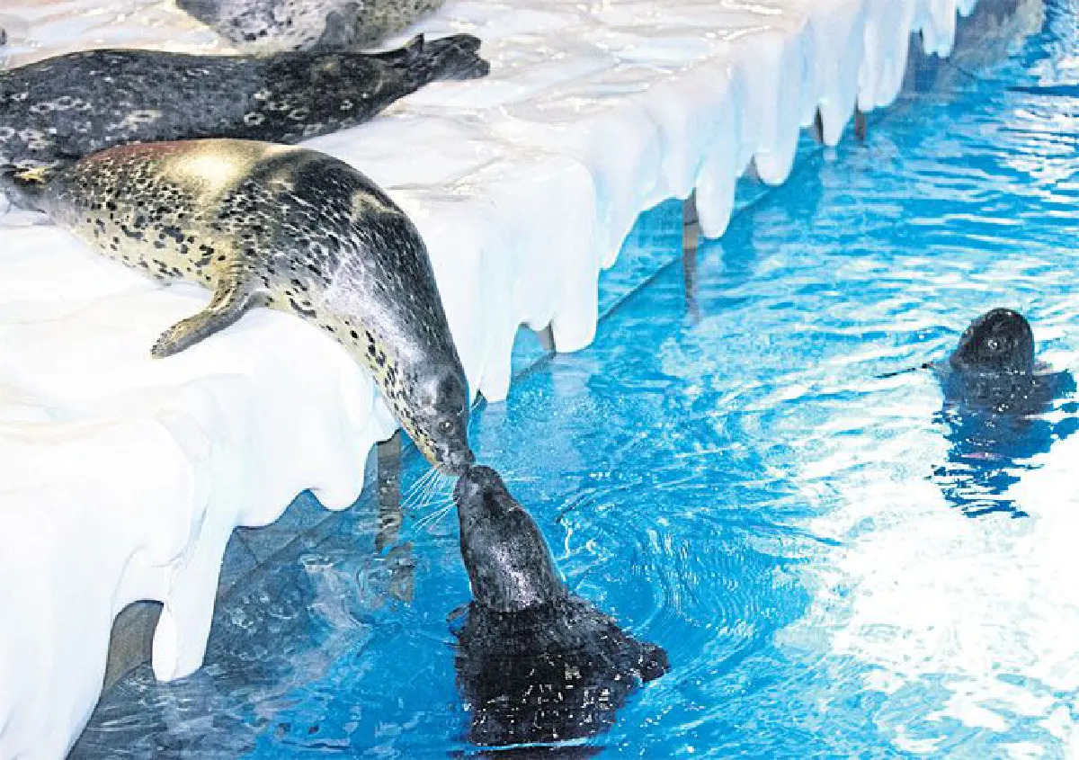 เสียงหัวเราะและความสนุก เกิดได้ที่ ‘โอเชียนปาร์ก ฮ่องกง’