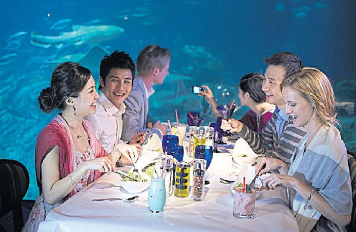 เสียงหัวเราะและความสนุก เกิดได้ที่ ‘โอเชียนปาร์ก ฮ่องกง’