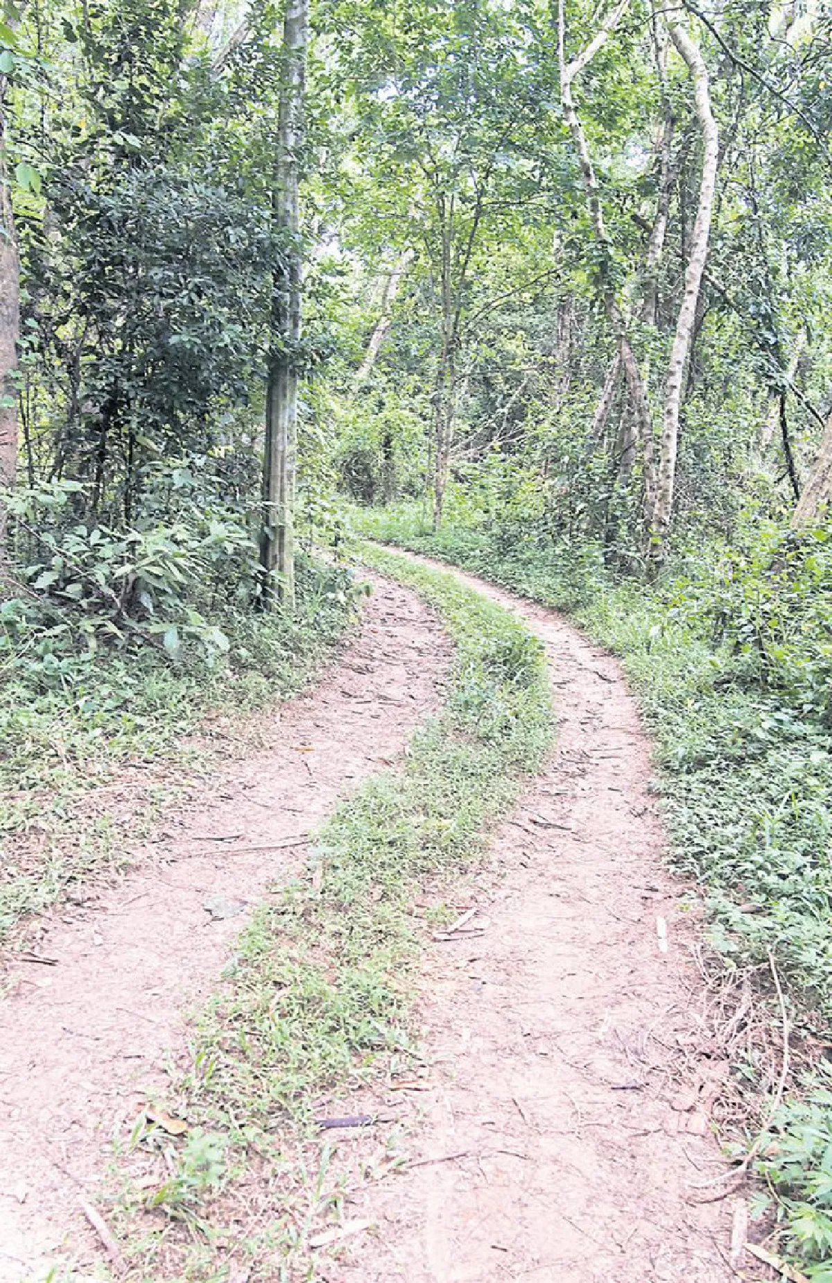 ปั่นลุยป่าภาคตะวันออก #ชลบุรี