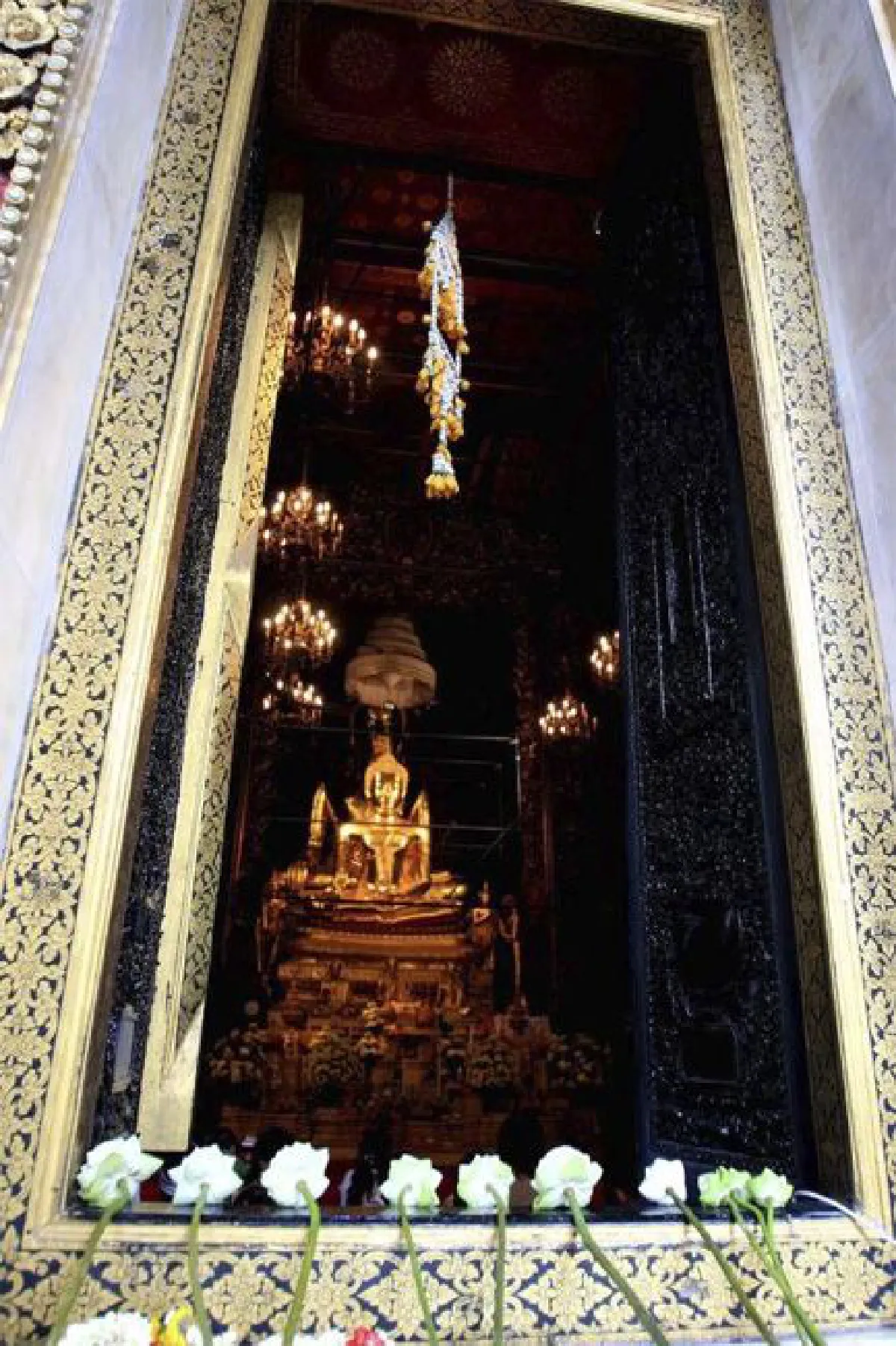 ขอพรปีใหม่ (ไม่ให้พลาด)