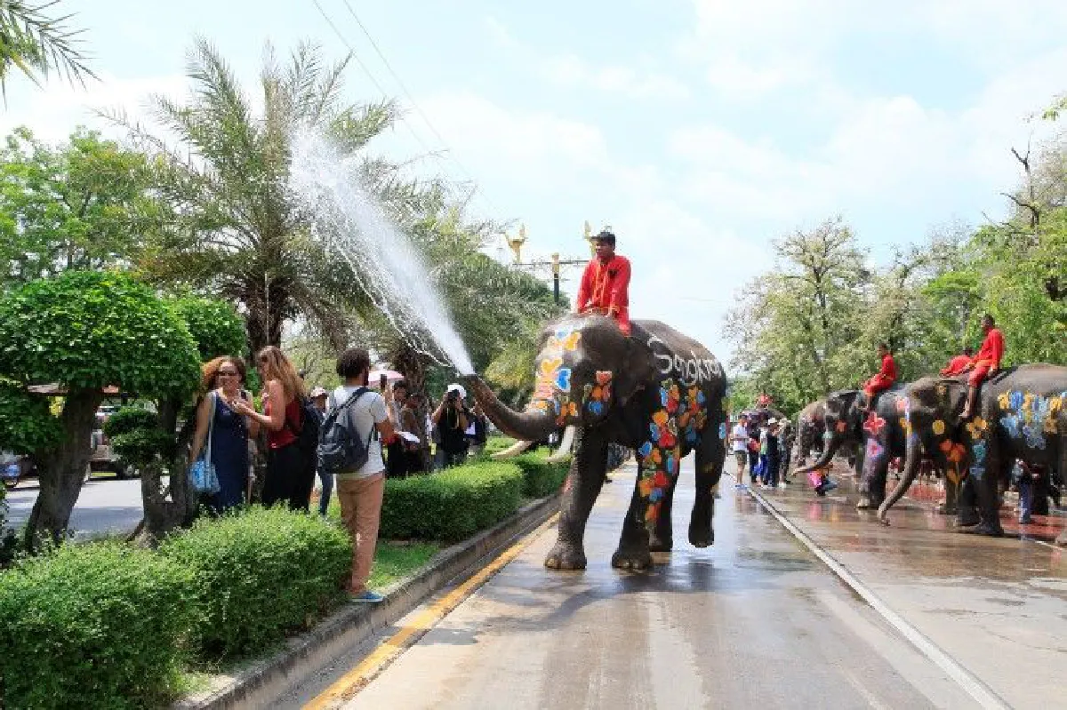 สื่อนอกบันทึกภาพ-ทำข่าวช้างไทยพ่นน้ำเล่นสงกรานต์