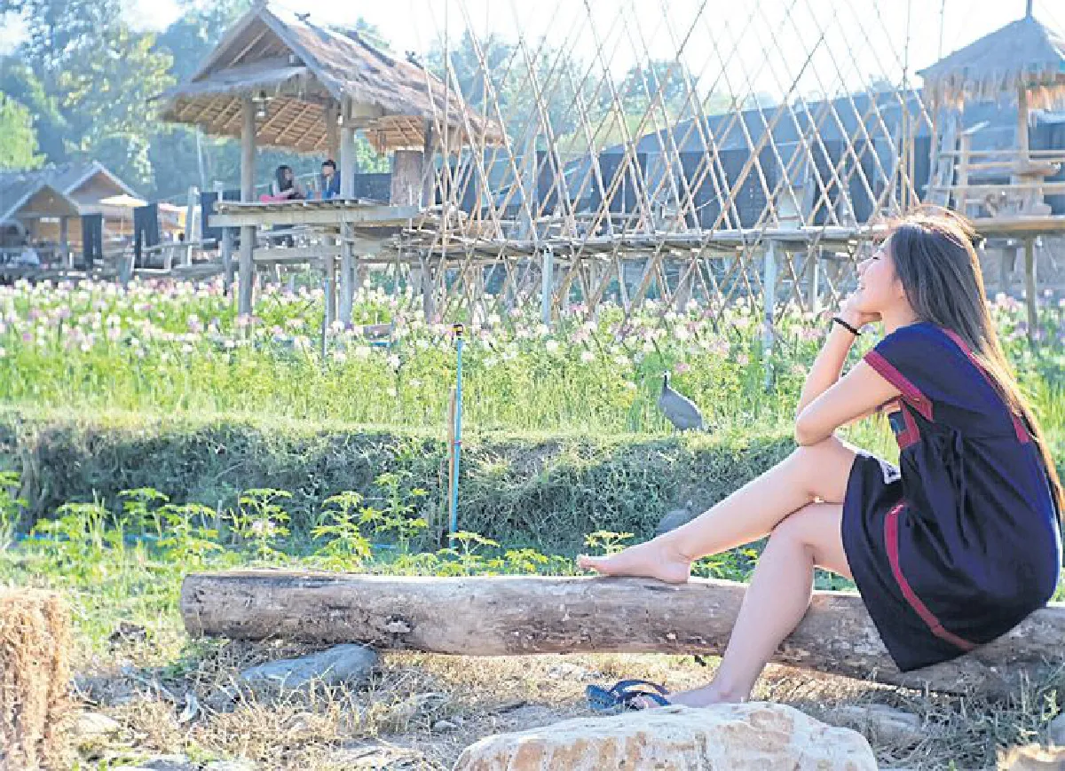 ชีวิตสโลว์ไลฟ์ ในรีสอร์ทสีเขียว