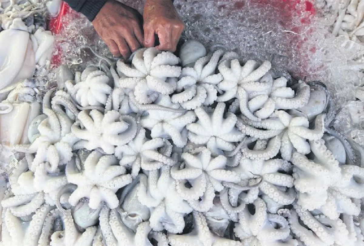 อ่างศิลา นั้นหนามีดีกว่าที่คิด