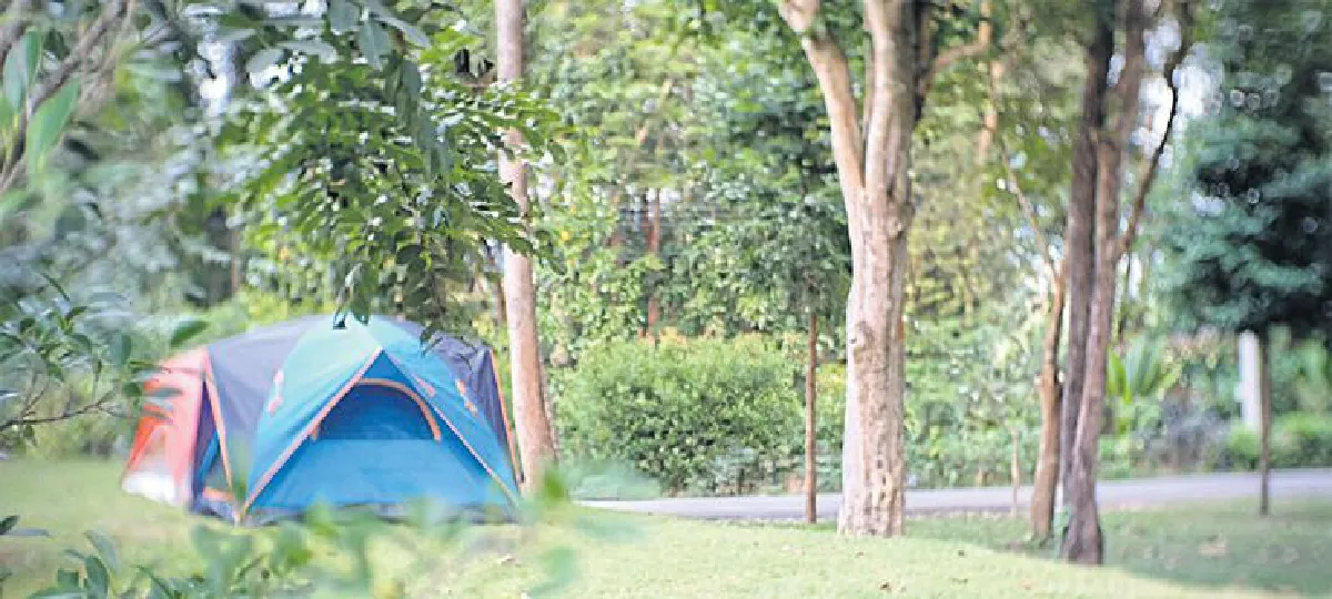 ชีวิตสโลว์ไลฟ์ ในรีสอร์ทสีเขียว