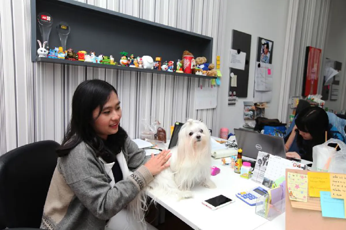 สเปซสำหรับน้องหมา โดนใจ ‘ด็อก เลิฟเวอร์’