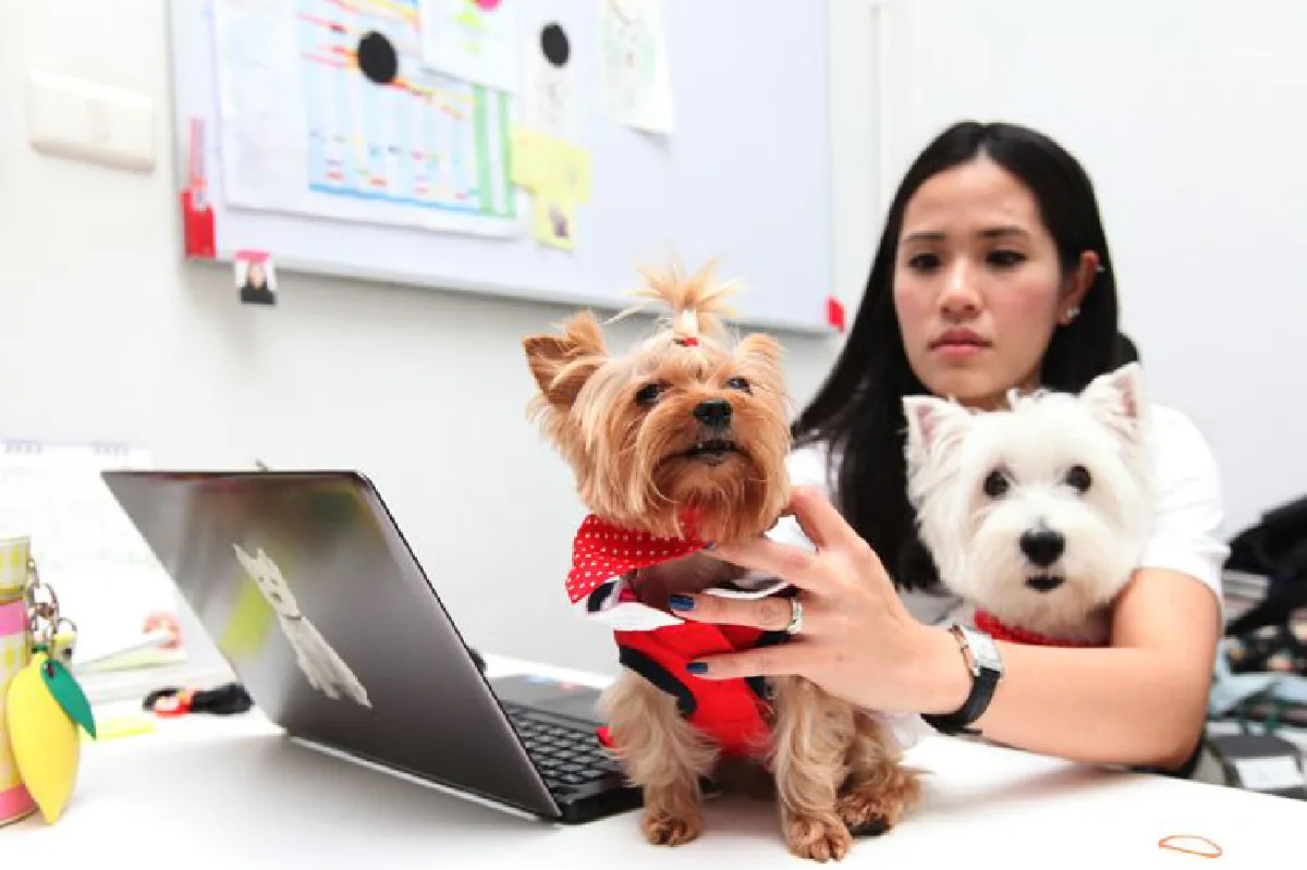 สเปซสำหรับน้องหมา โดนใจ ‘ด็อก เลิฟเวอร์’