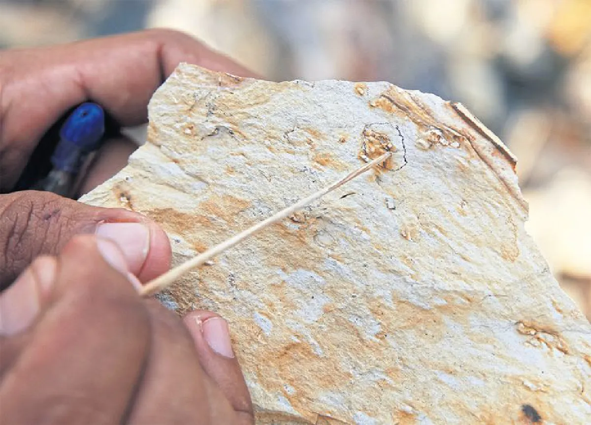 ผ่าพิภพ ‘สตูล’