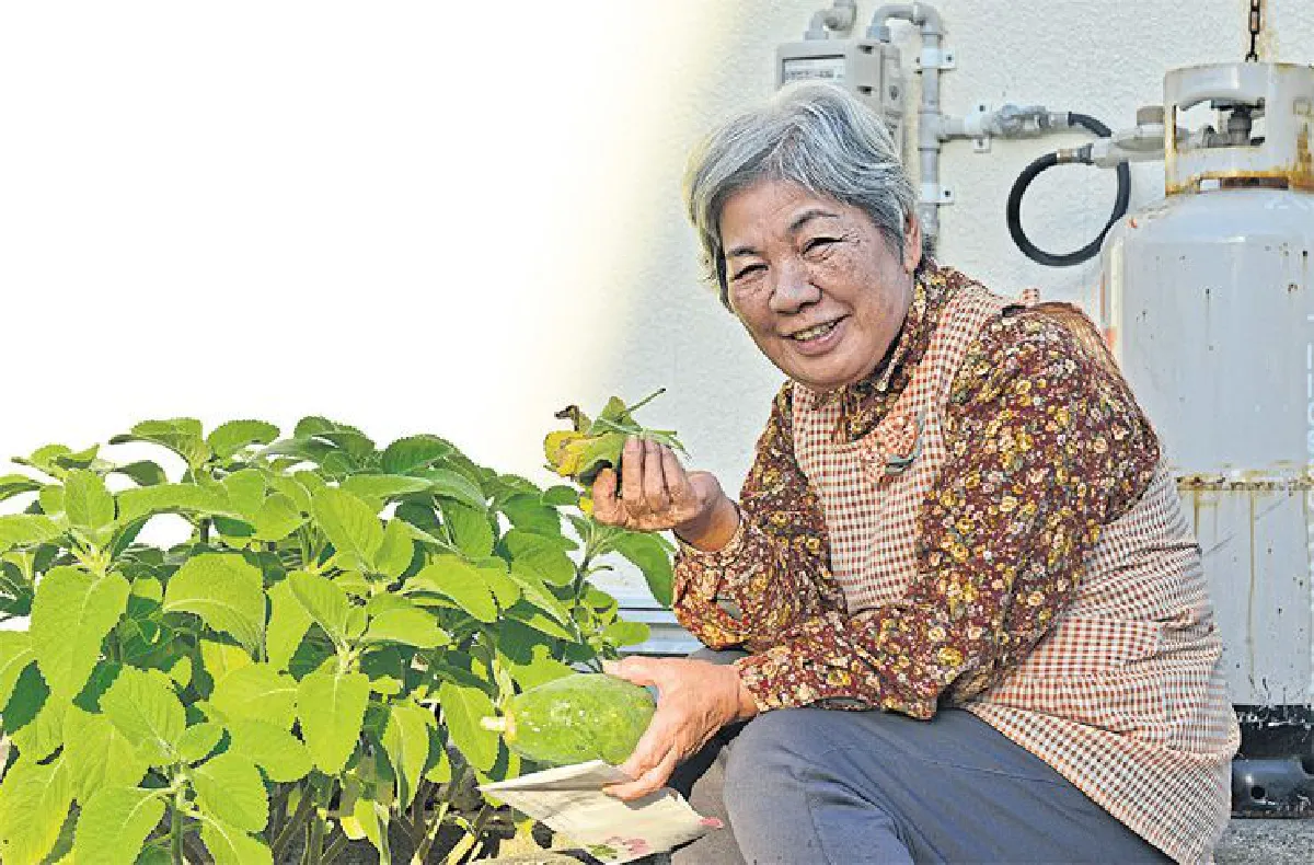 อยู่อย่างอายุยืนยาว แบบชาวโอกินาวา