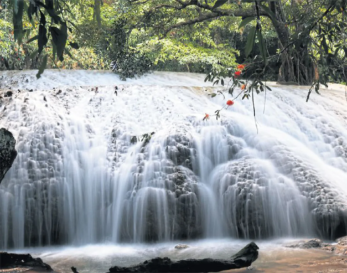 ผ่าพิภพ ‘สตูล’