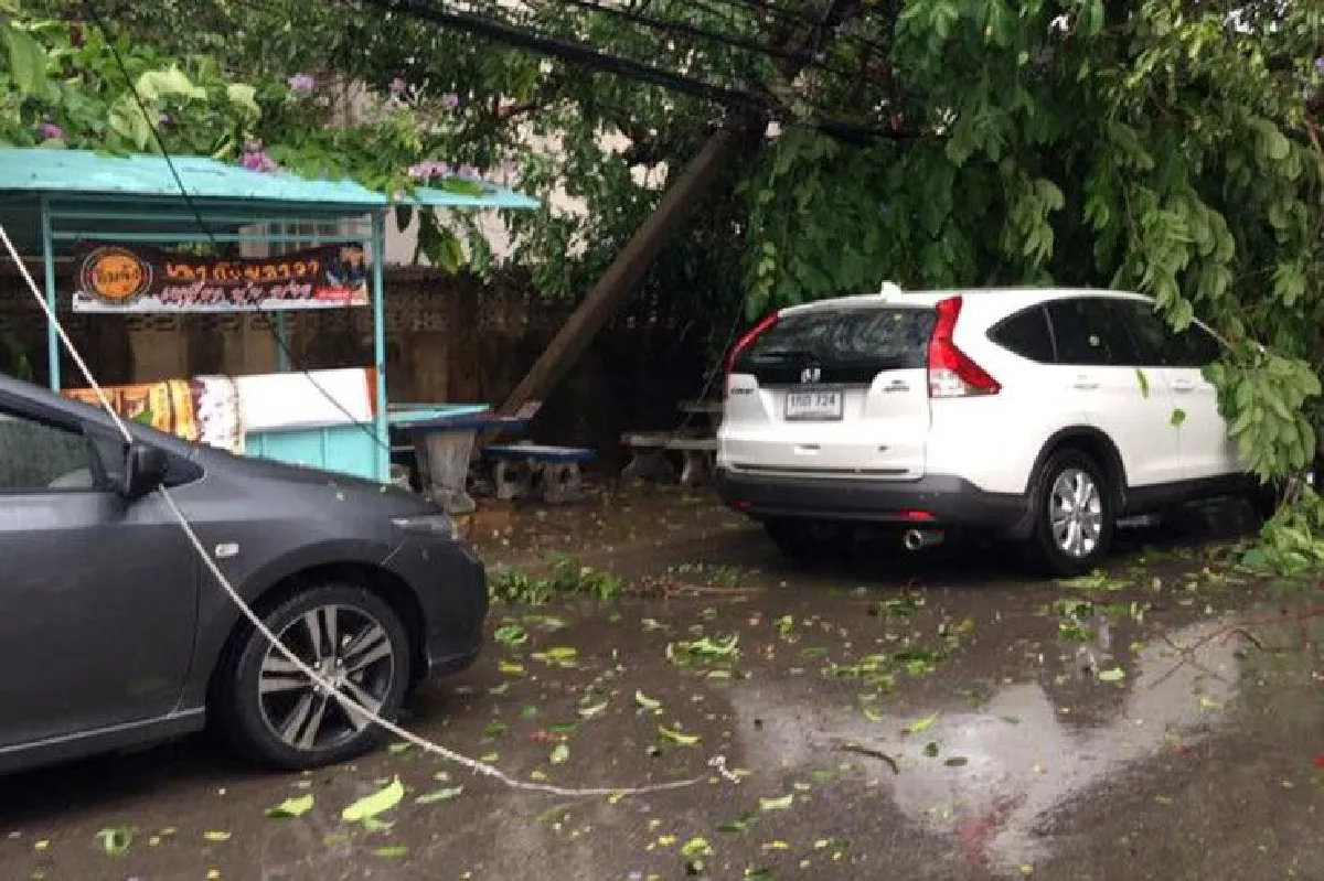 พายุฝนพัดหล่มสัก ต้นไม้โค่นทับรถยนต์-หลังคาบ้านนายอำเภอปลิวเสียหาย