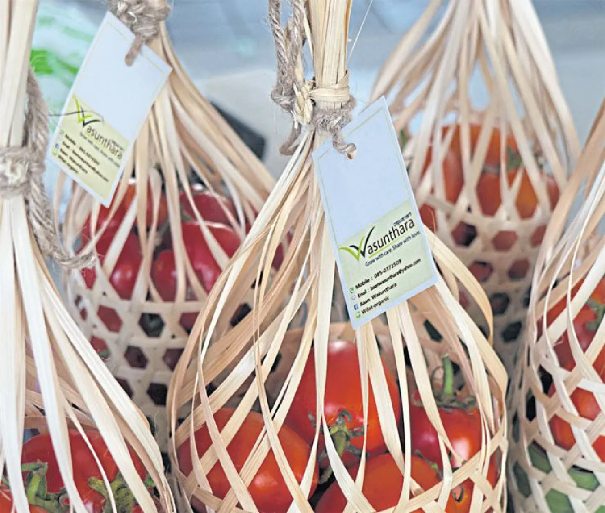 ตลาดนัด ‘ชุมชนอินทรีย์ มีโชค’