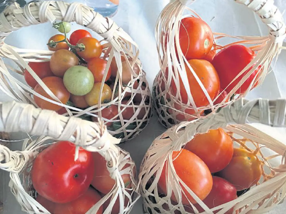 ตลาดนัด ‘ชุมชนอินทรีย์ มีโชค’