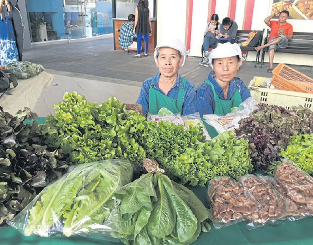 ตลาดนัด ‘ชุมชนอินทรีย์ มีโชค’