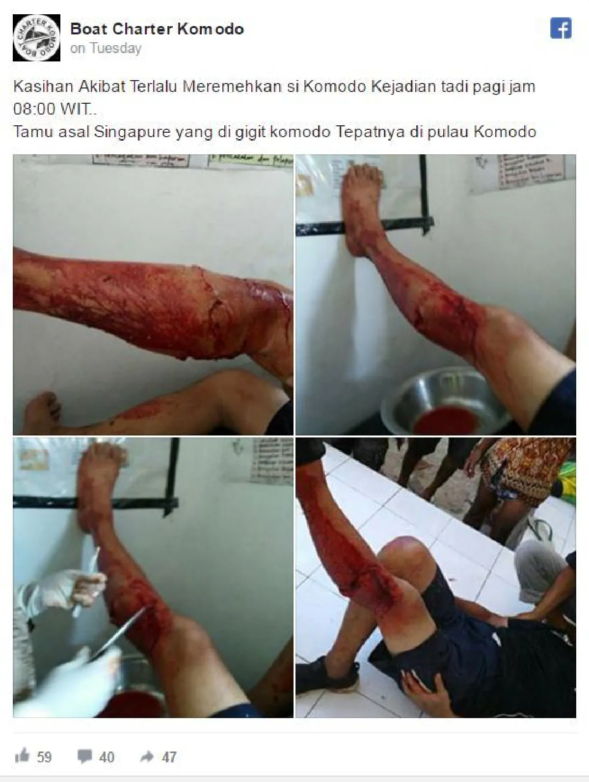 Komodo Dragon attacks Singaporean in Indonesia
