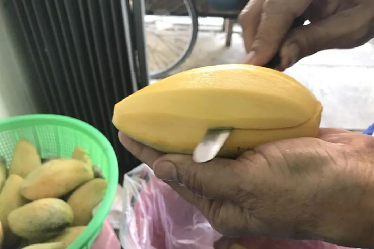 อิ่มอร่อยข้าวเหนียวมะม่วง ร้านป้าเหนียง เมืองสุรินทร์