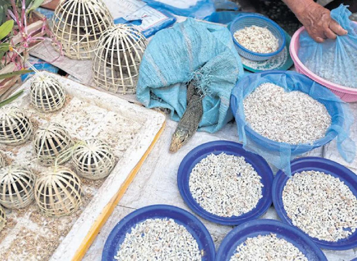 หลวงพระบาง ตรงกลางระหว่างความสุขและดิบ