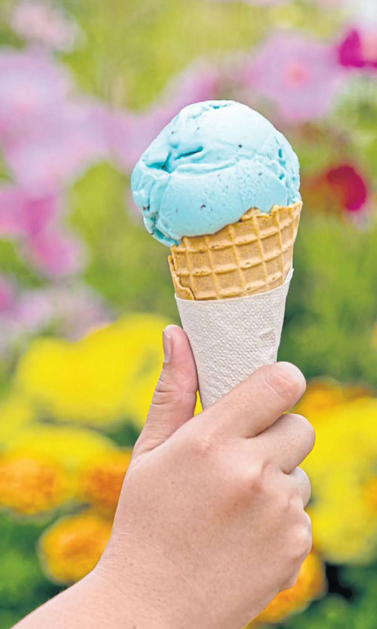 ของกินหน้าร้อน ได้หมดถ้าสดชื่น