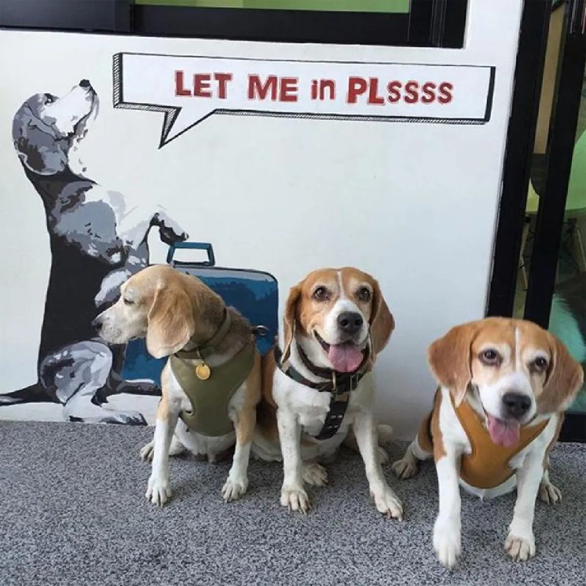 สัตว์เลี้ยง เสริมความรุ่งเรือง (จบ)