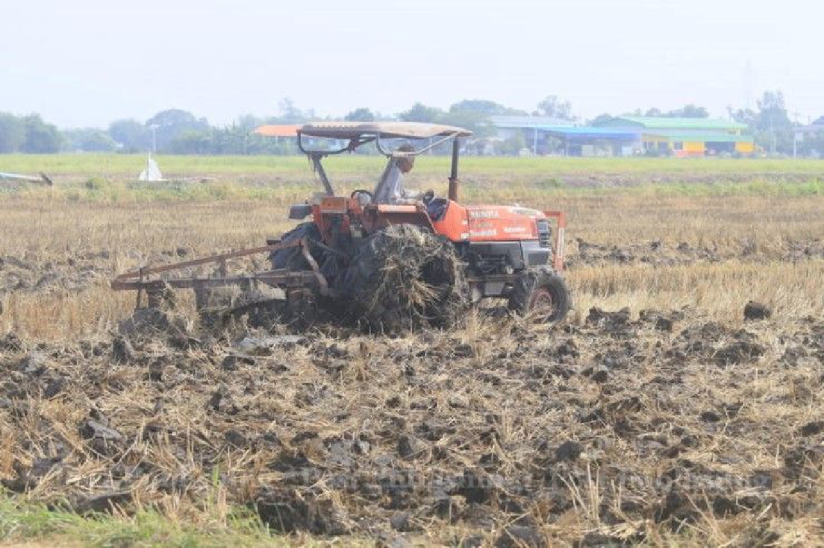 เตือนเกษตรกรอย่าลืมขึ้นทะเบียนหลังเริ่มฤดูการผลิตปี60 เตือนเกษตรกรอย่าลืมขึ้นทะเบียนหลังเริ่มฤดูการผลิตปี60