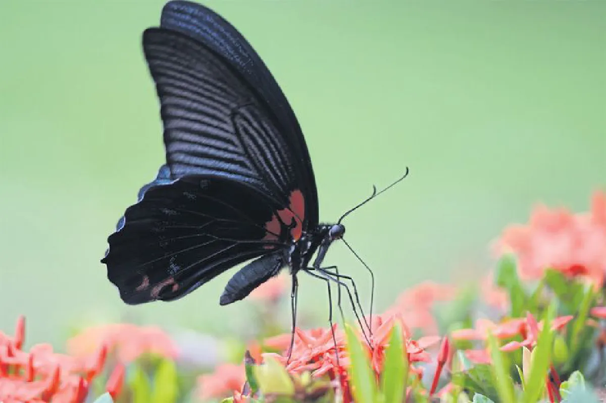 สัมผัสธรรมชาติใกล้กรุง เจ็ดคต-โป่งก้อนเส้า