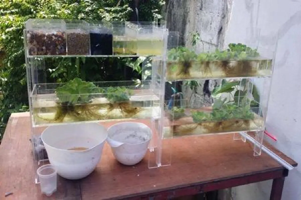 ‘ซุง วอน เพ็ก’ เด็กหนุ่มเจ้าไอเดีย คิดระบบแก้นํ้าเสียแบบธรรมชาติ