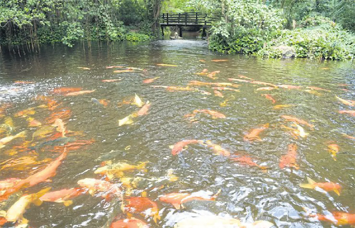 เปิดโลกสัตว์ต่างถิ่นที่ ซาฟารีเวิลด์