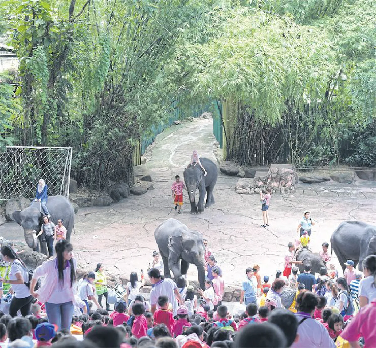 เปิดโลกสัตว์ต่างถิ่นที่ ซาฟารีเวิลด์