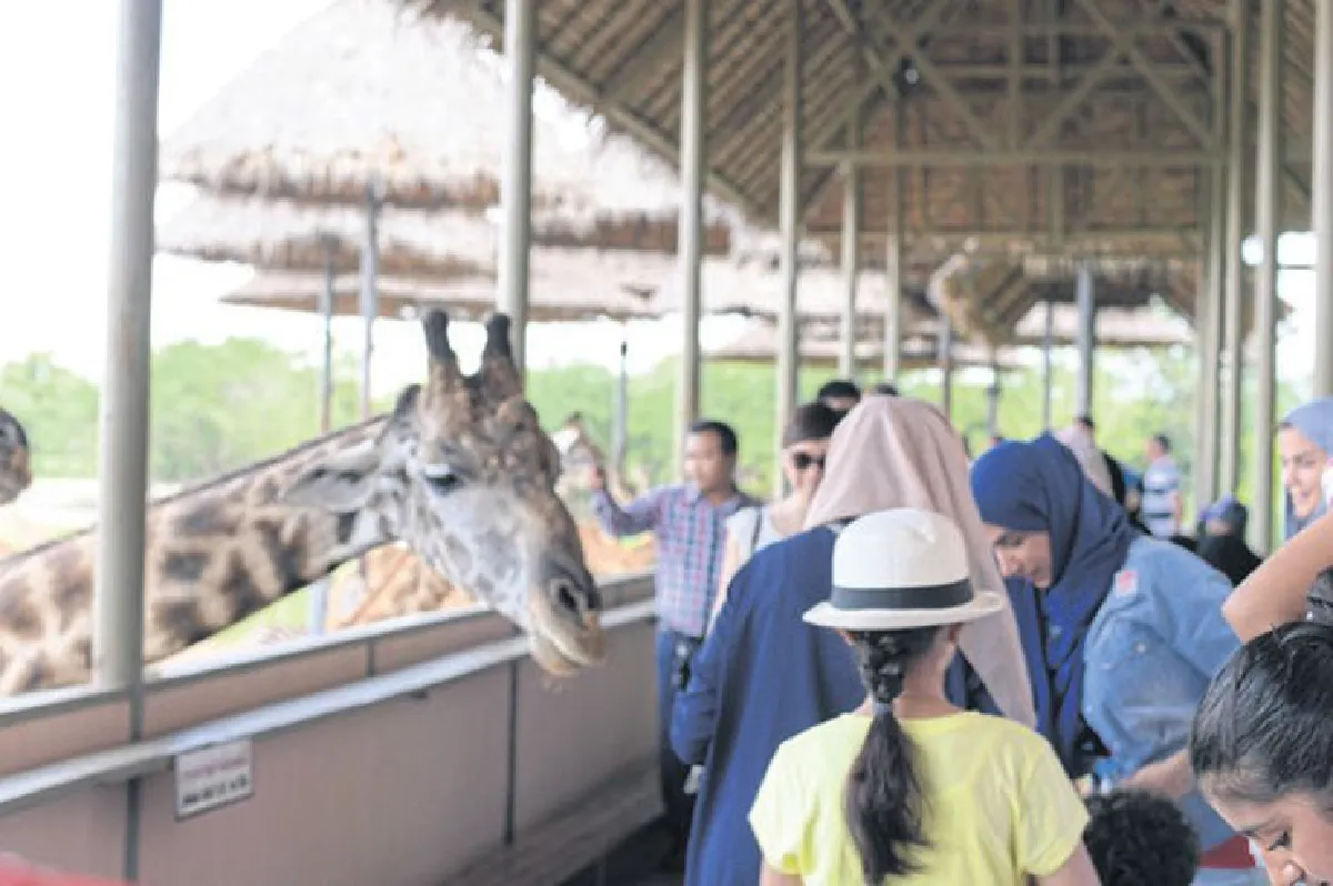 เปิดโลกสัตว์ต่างถิ่นที่ ซาฟารีเวิลด์