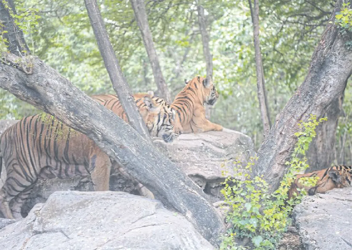 เปิดโลกสัตว์ต่างถิ่นที่ ซาฟารีเวิลด์