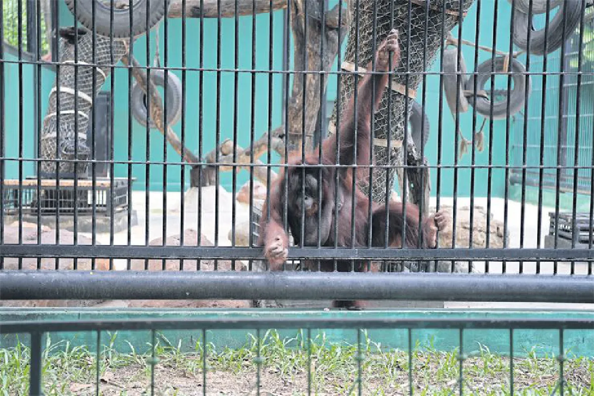 เปิดโลกสัตว์ต่างถิ่นที่ ซาฟารีเวิลด์