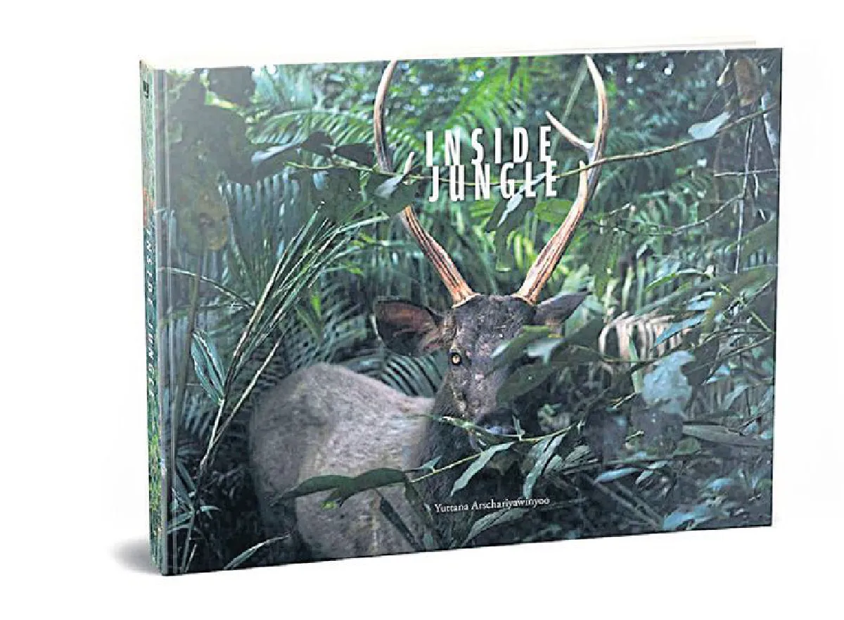 'INSIDE JUNGLE' หนังสือภาพสัตว์ป่าของ ยุทธนา อัจฉริยวิญญู