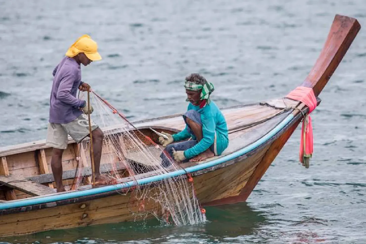พังงาหน้าฝนยลเกาะยาวน้อย