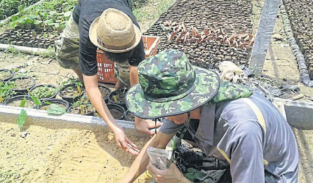 ‘ขุนดง’ ราษฎรนักปลูกป่า