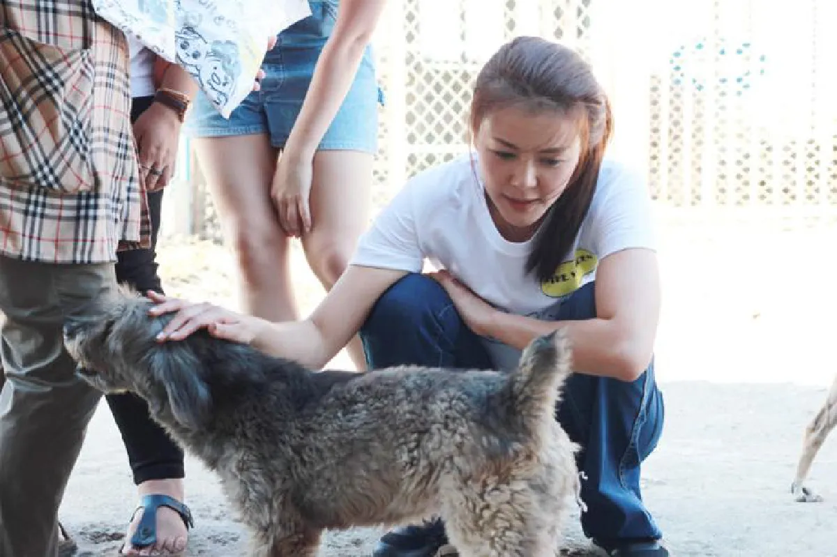 ต้องมนต์สองนางฟ้า สวยแถมใจดี