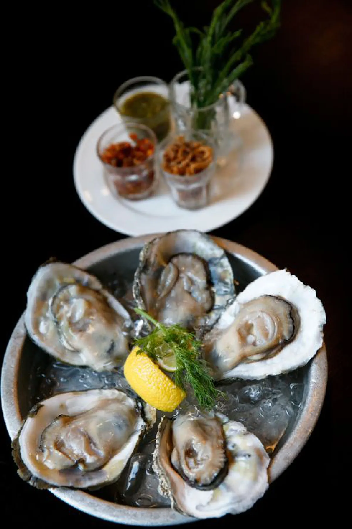 ออยสเตอร์ ฮาเร็ม นิคมคนรักซีฟู้ด