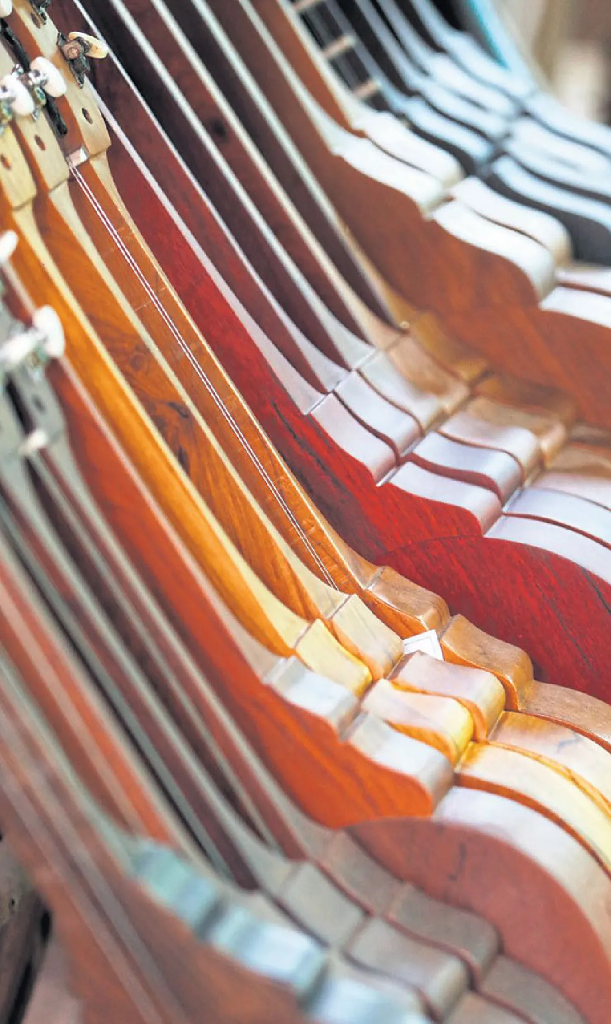 ครั้งแรกที่ได้ลอง