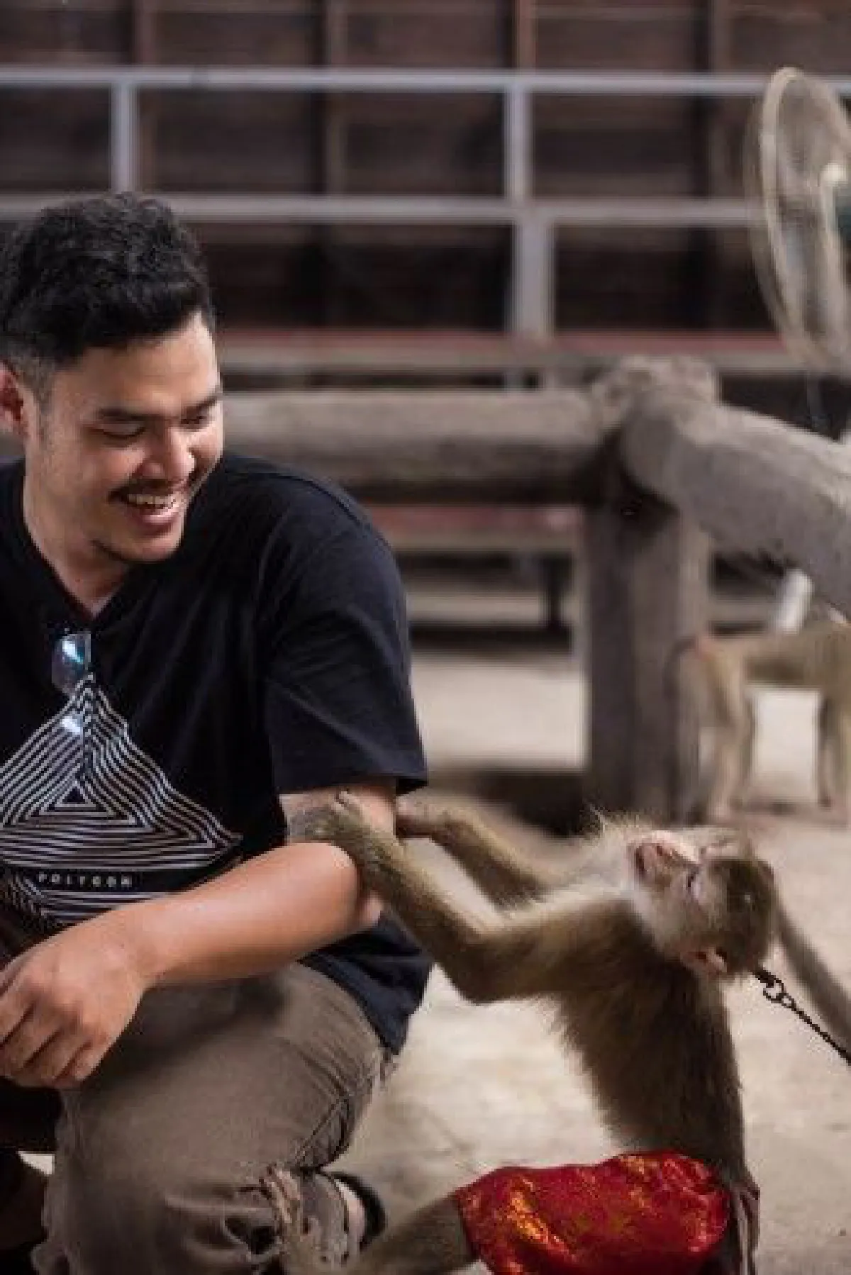 "ขอสืบทอดมรดกชิ้นนี้จนวันตาย" 42ปีละครลิง "ประกิตศิษย์พระกาฬ" ท่ามกลางความเปลี่ยนแปลง