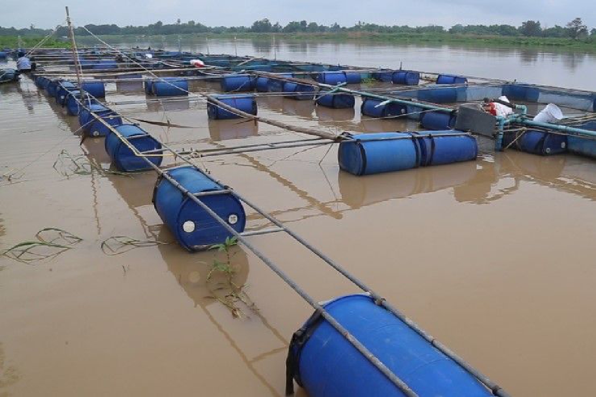 คนเลี้ยงปลานัดชุมนุมใหญ่ ต้านพรบ.เดินเรือทั่วประเทศ คนเลี้ยงปลานัดชุมนุมใหญ่ ต้านพรบ.เดินเรือทั่วประเทศ
