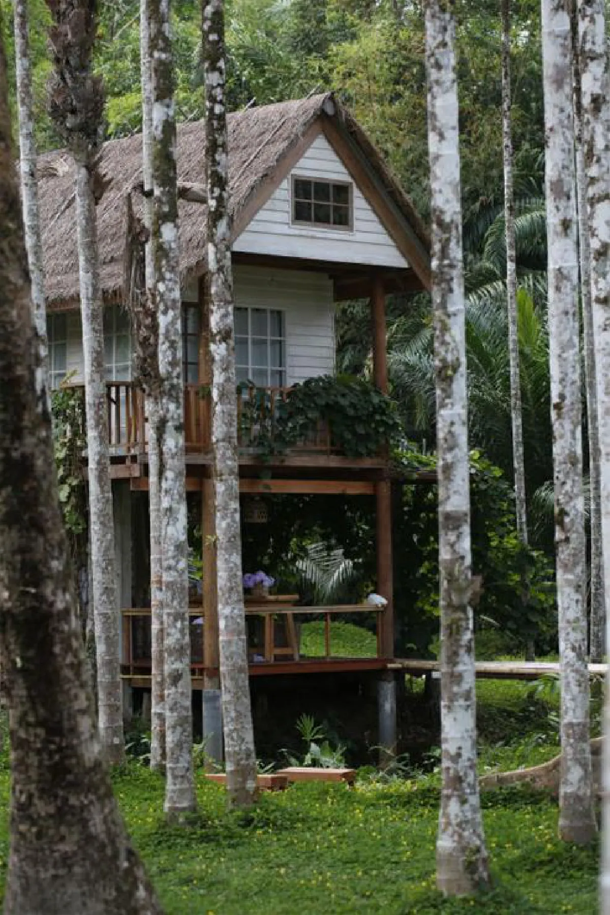 หลงรักหน้าฝน ท้าเที่ยวกรีนซีซั่น