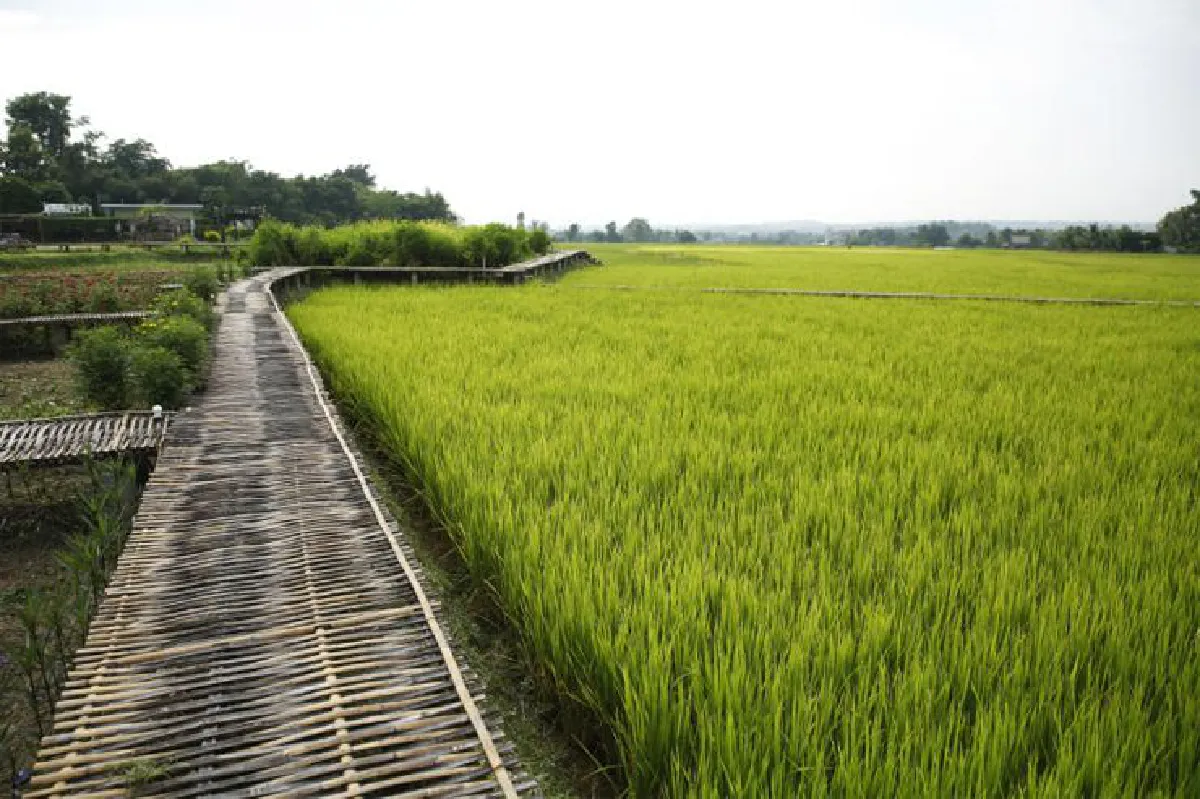 หลงรักหน้าฝน ท้าเที่ยวกรีนซีซั่น