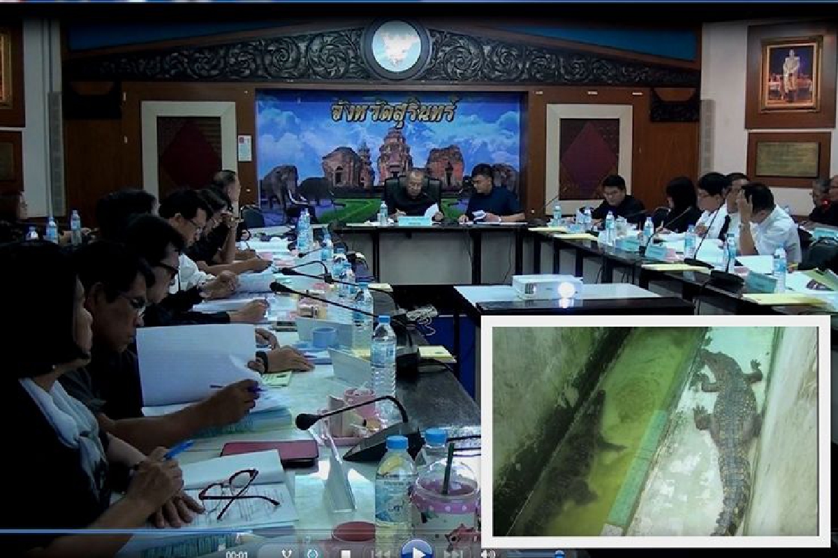 ผู้ว่าฯสุรินทร์สอบที่มาลูกจระเข้ขอเปิดฟาร์มถูกต้องหรือไม่ ผู้ว่าฯสุรินทร์สอบที่มาลูกจระเข้ขอเปิดฟาร์มถูกต้องหรือไม่