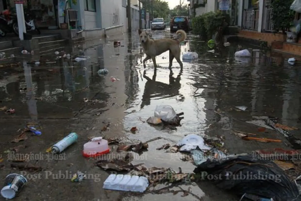 Keeping Bangkok above water