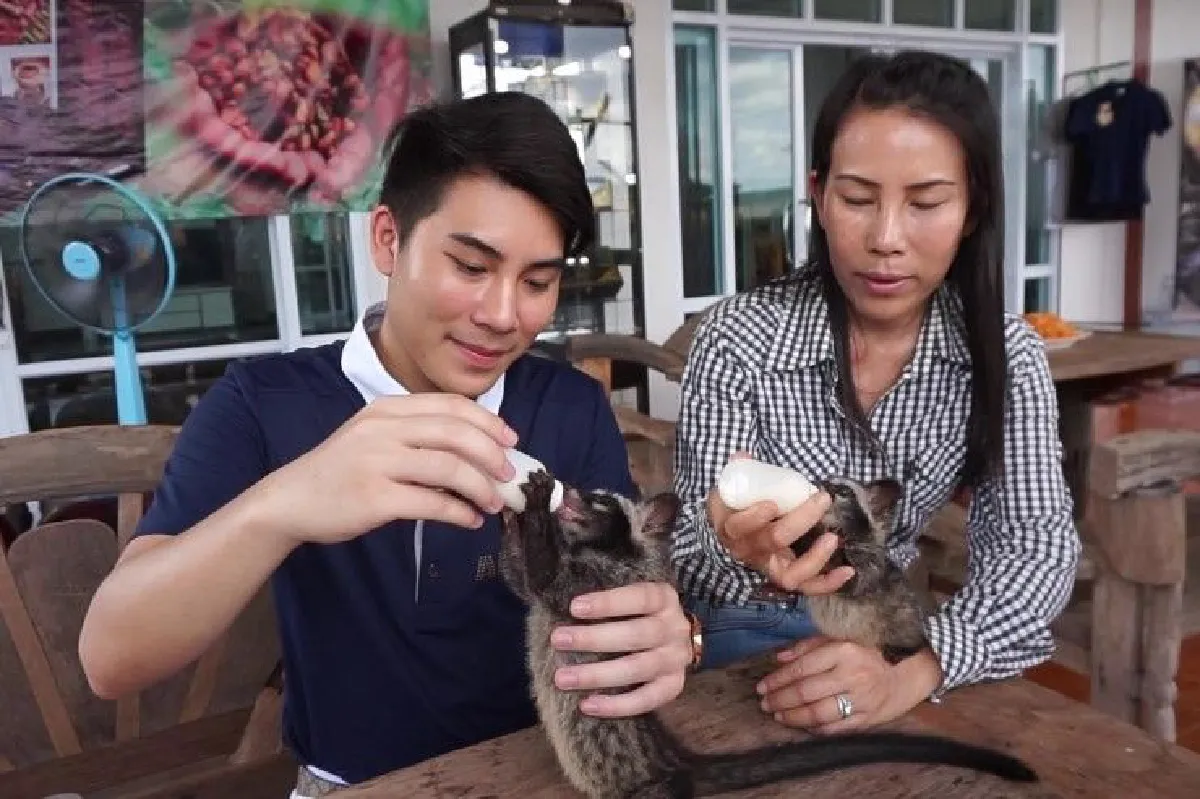 บัณฑิตหนุ่มพลิกฟื้นที่ดินบ้านเกิดผลิตกาแฟขี้ชะมดขายรายได้งาม