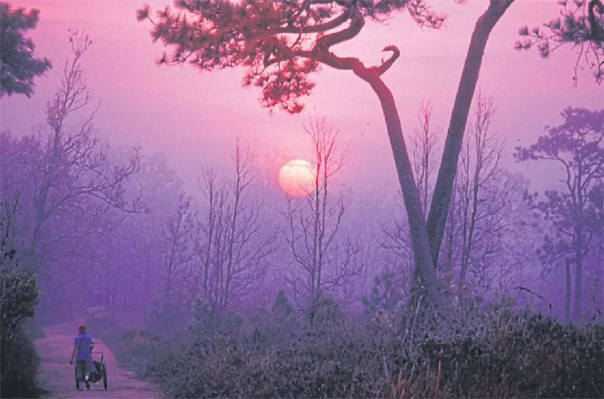 ภูกระดึง ภูงามกับความทรงจำ