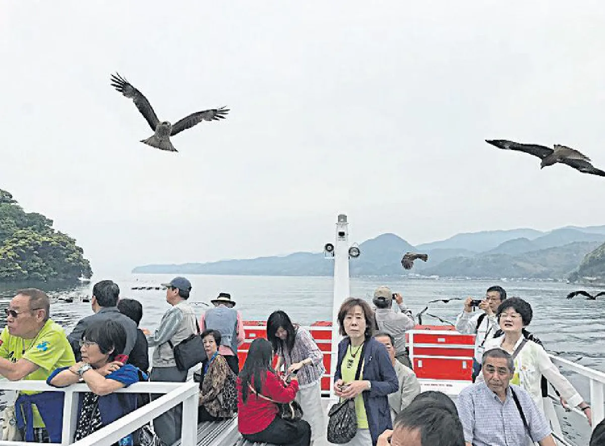 J-Cruises 5