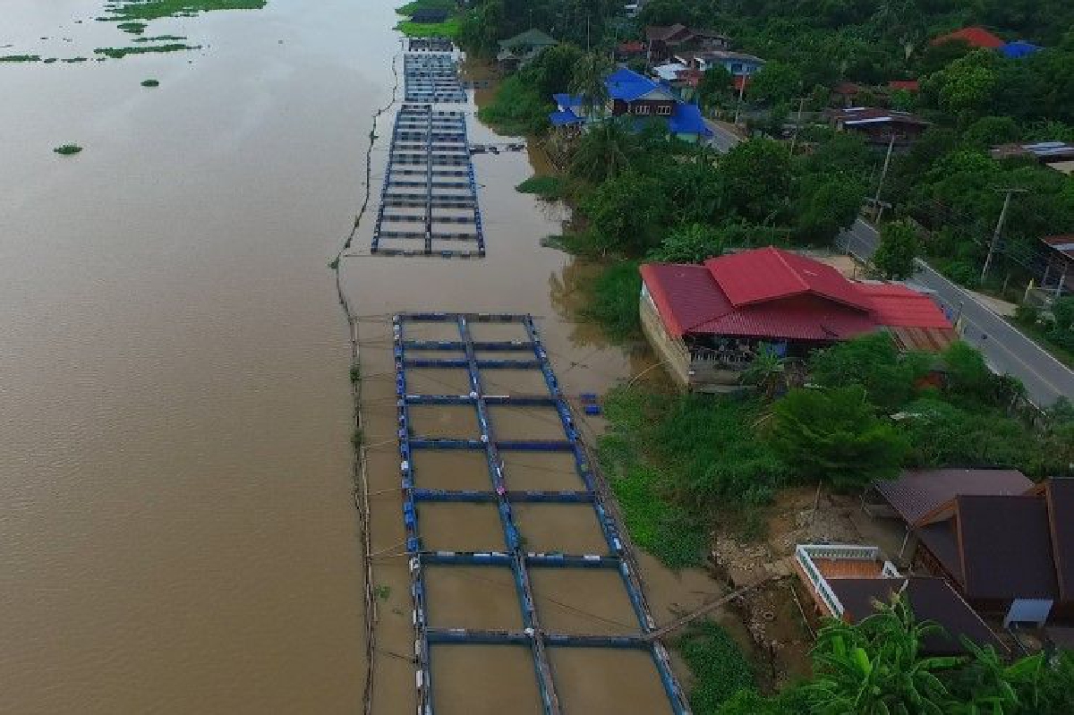 เลื่อนบังคับใช้กม.เดินเรือในน่านน้ำไทย หลังกระทบประมงท้องถิ่น เลื่อนบังคับใช้กม.เดินเรือในน่านน้ำไทย หลังกระทบประมงท้องถิ่น